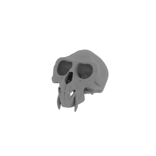 Vervet Monkey Skull.stl