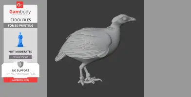A detailed 3D model of a bar-backed partridge, ideal for 3D printing.