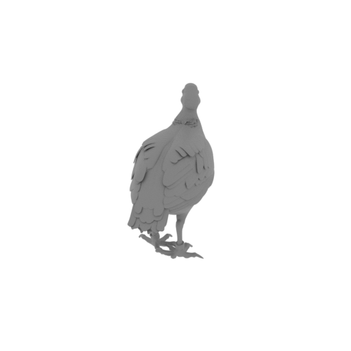 Bar-backed partridge.stl