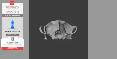 Volgatitan Skull - Skull Replica STL