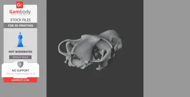 Volgatitan Skull - Skull Replica STL
