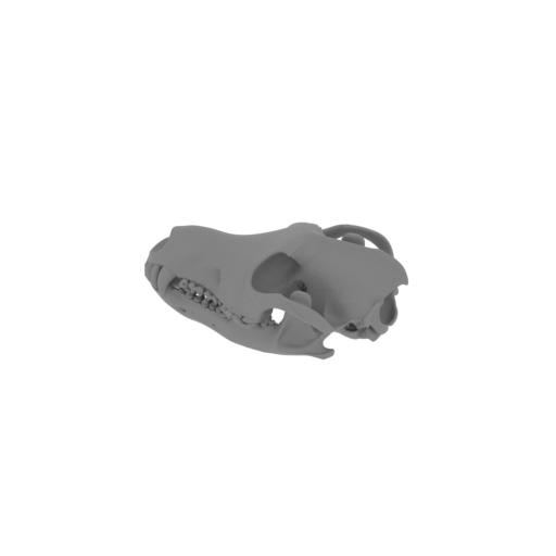 Volgatitan Skull.stl