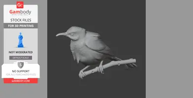 Bar-breasted honeyeater - Prehistoric Animal STL
