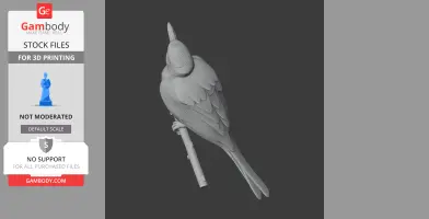 Bar-breasted honeyeater - Prehistoric Animal STL