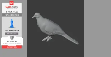 Bar-shouldered dove - Prehistoric Animal STL