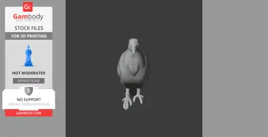 Bar-shouldered dove - Prehistoric Animal STL