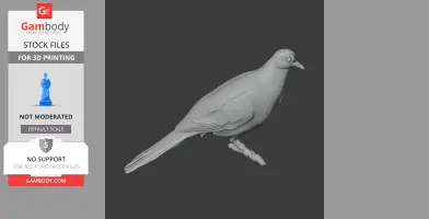 Bar-shouldered dove - Prehistoric Animal STL