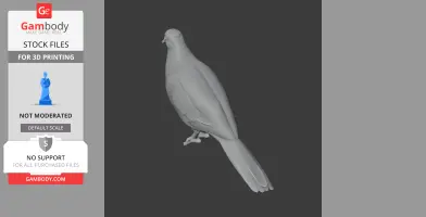 Bar-shouldered dove - Prehistoric Animal STL