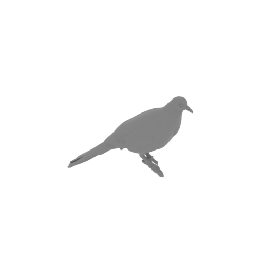 Bar-shouldered dove.stl