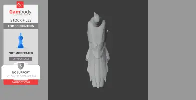 3D model of a bar-tailed cuckoo-dove, shown from above, displaying detailed feather patterns.
