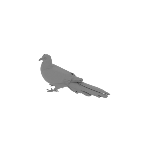 Bar-tailed cuckoo-dove.stl