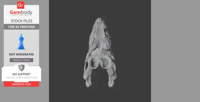 Walkersaurus Skull - Skull Replica STL