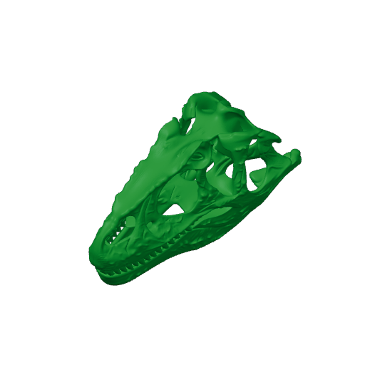 Walkersaurus Skull.3mf