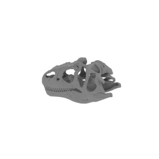 Walkersaurus Skull.stl