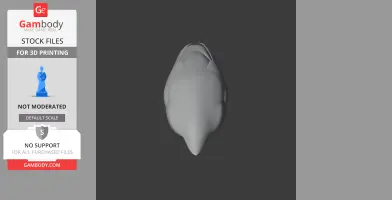 A top-down view of a streamlined 3D model resembling a bird's head, designed for 3D printing.