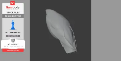 3D model of a bar-tailed trogon bird in a simple, smooth shape, viewed from above.