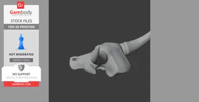 Water Buffalo Skull - Skull Replica STL