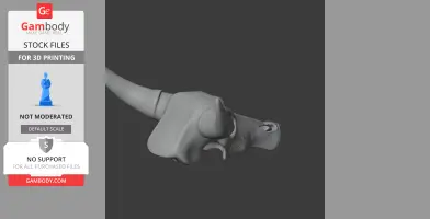 Water Buffalo Skull - Skull Replica STL