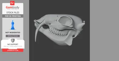 3D model of a water deer skull, displaying detailed teeth and elongated canines for printing.