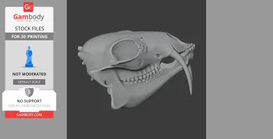 3D model of a water deer skull, featuring large eye sockets and elongated teeth, suitable for 3D printing.