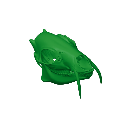 Water Deer Skull.3mf