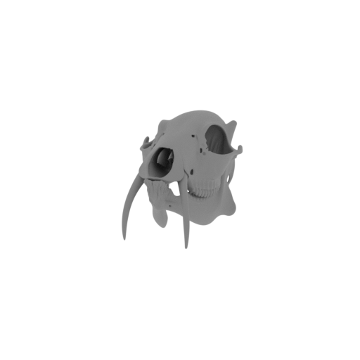 Water Deer Skull.stl