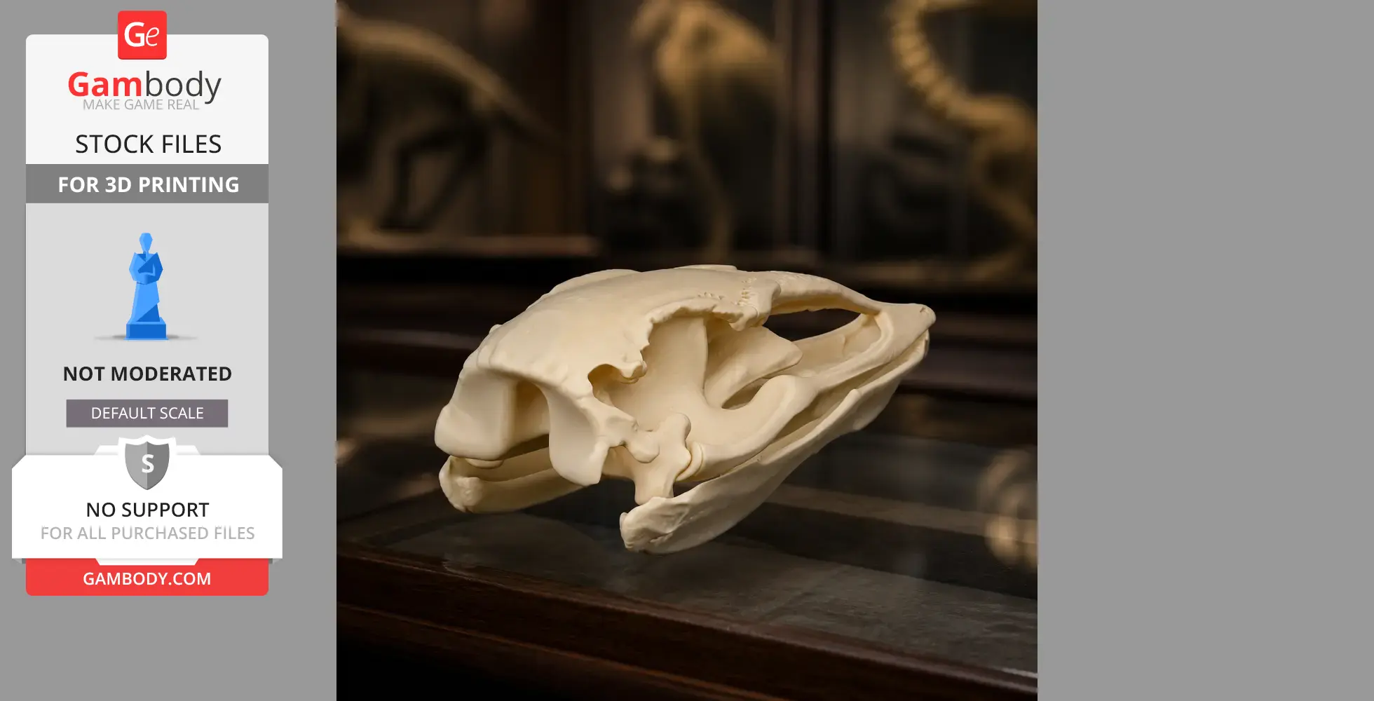 3D-printed Vorombe titan (Elephant Bird) skull replica displayed on a wooden surface.