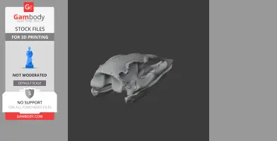 3D model of a Vorombe titan (Elephant Bird) skull, shown in a gray finish for 3D printing.