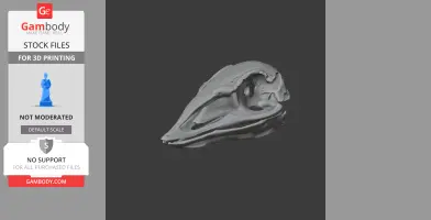 3D model of a Vorombe titan (Elephant Bird) skull, showcasing detailed fossil features.