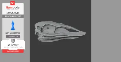 3D model of Vorombe titan (Elephant Bird) skull for 3D printing on a gray background.