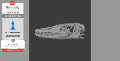 3D model of a water monitor skull, detailed with teeth and bone structure, suitable for 3D printing.