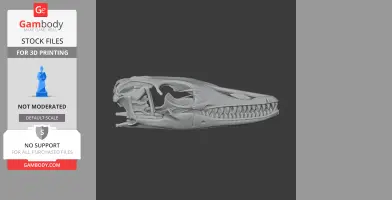 3D model of a detailed water monitor skull, suitable for 3D printing.