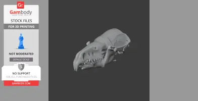 3D model of a water shrew skull, showing detailed teeth and cranial structure, for 3D printing.
