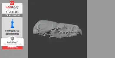 Digital model of a detailed water shrew skull, side view, for 3D printing.