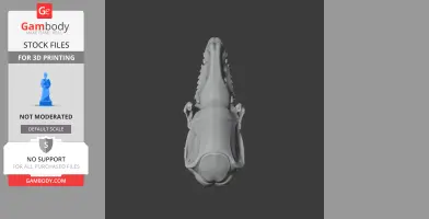 Top view of a detailed 3D model of a water shrew skull designed for 3D printing.