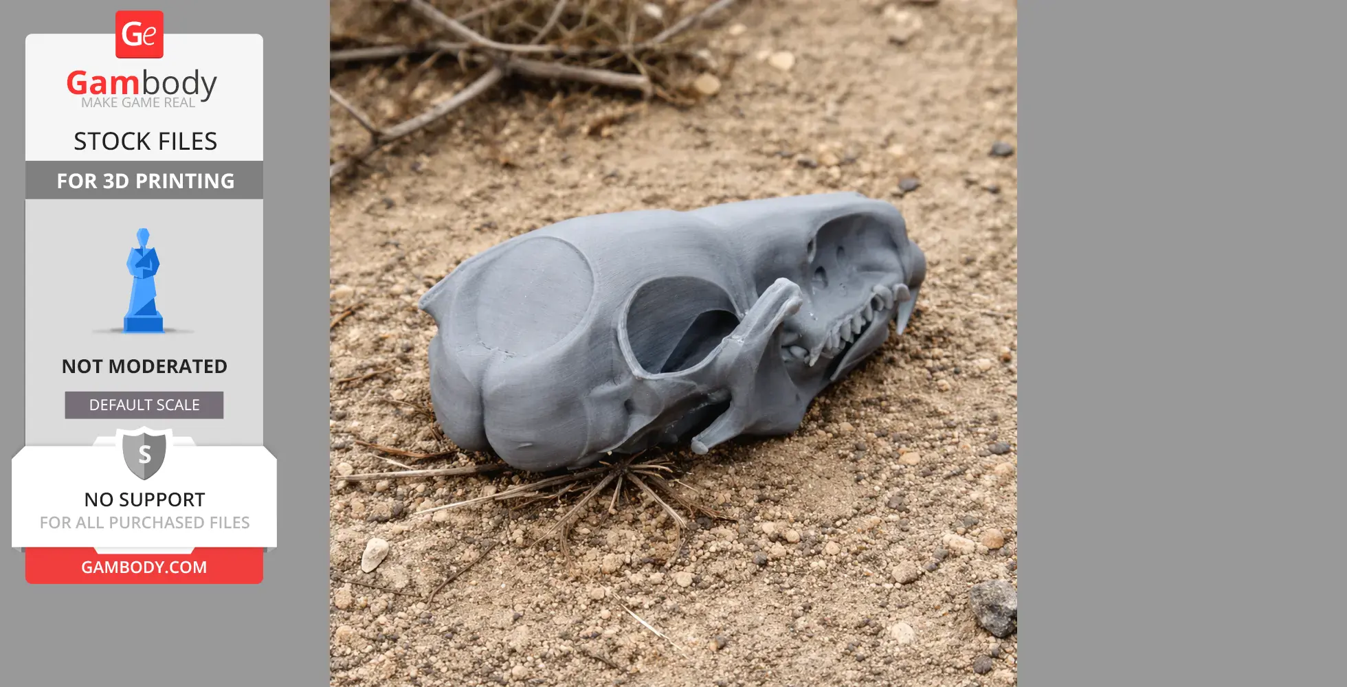 3D-printed water shrew skull replica lying on sandy ground.