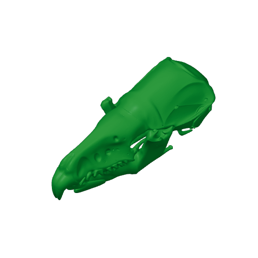 Water Shrew Skull.3mf