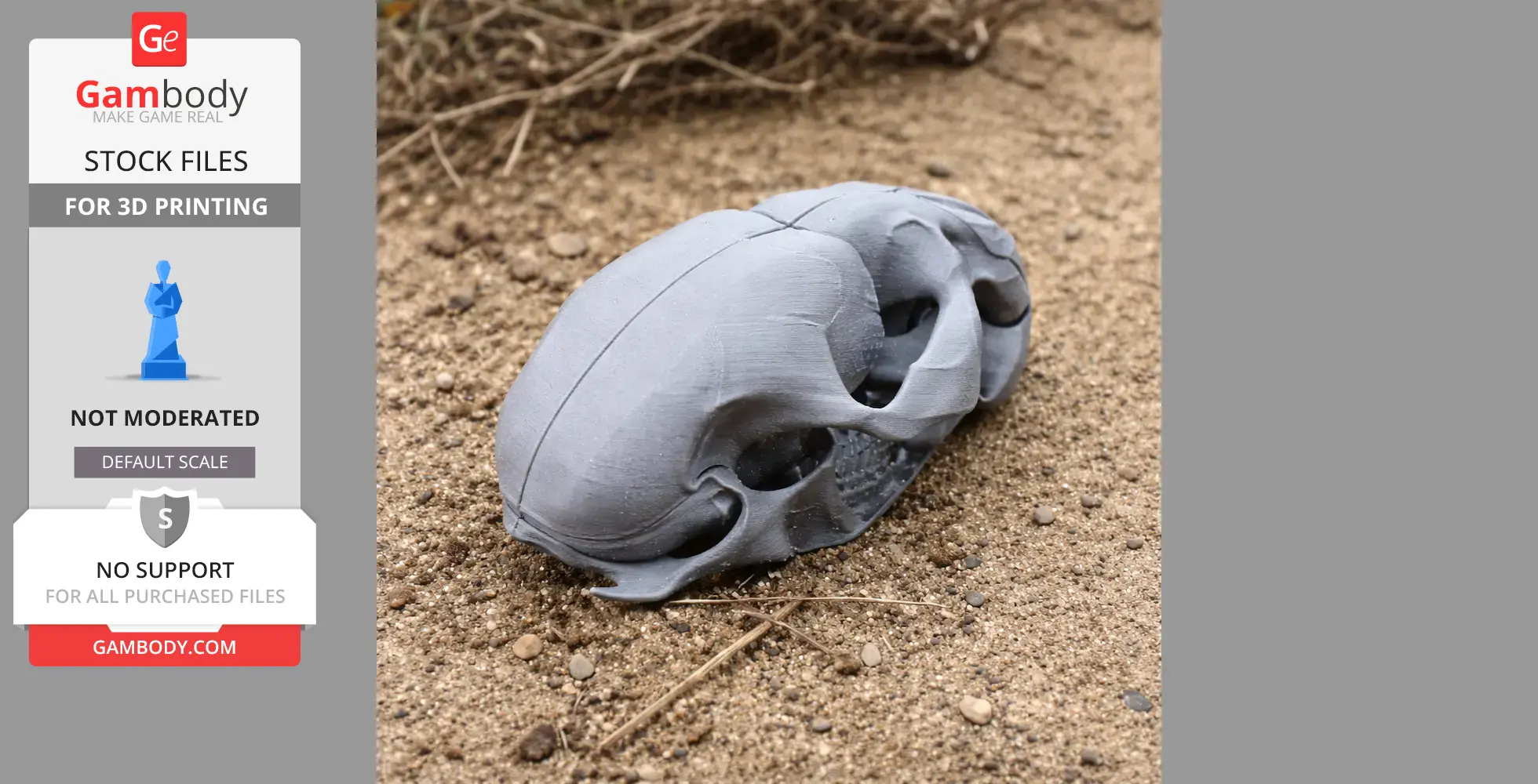 3D printed replica of a water vole skull resting on sandy ground.