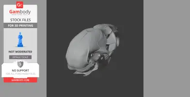 3D model of a water vole skull, detailed and ready for 3D printing, displayed on Gambody.