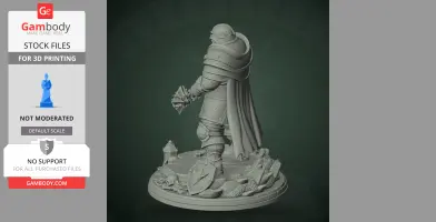 Man-at-Arms - Darkest Dungeon II - Character Figure STL