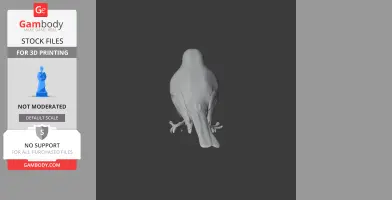 3D model of a bird viewed from above, showing detailed wings and tail, set against a dark background.