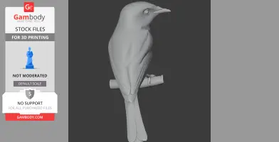 Bar-winged flycatcher-shrike - Prehistoric Animal STL