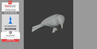 Bar-winged flycatcher-shrike - Prehistoric Animal STL