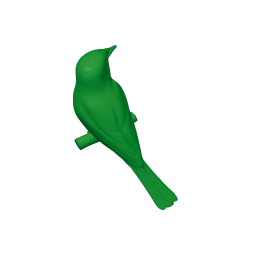 Bar-winged flycatcher-shrike.3mf