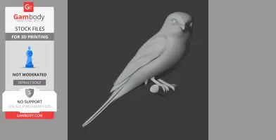 Bar-winged flycatcher-shrike - Prehistoric Animal STL