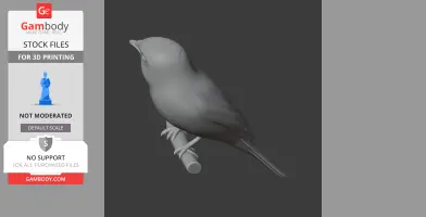 Bar-winged flycatcher-shrike - Prehistoric Animal STL