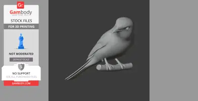 Bar-winged flycatcher-shrike - Prehistoric Animal STL