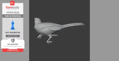 3D model of a bar-winged oriole bird in a standing pose, detailed feathers and long tail.