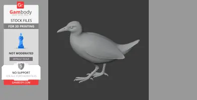 3D model of a bar-winged rail, shown in a standing pose for 3D printing.