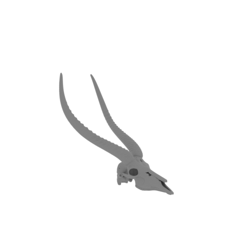 Waterbuck Skull.stl